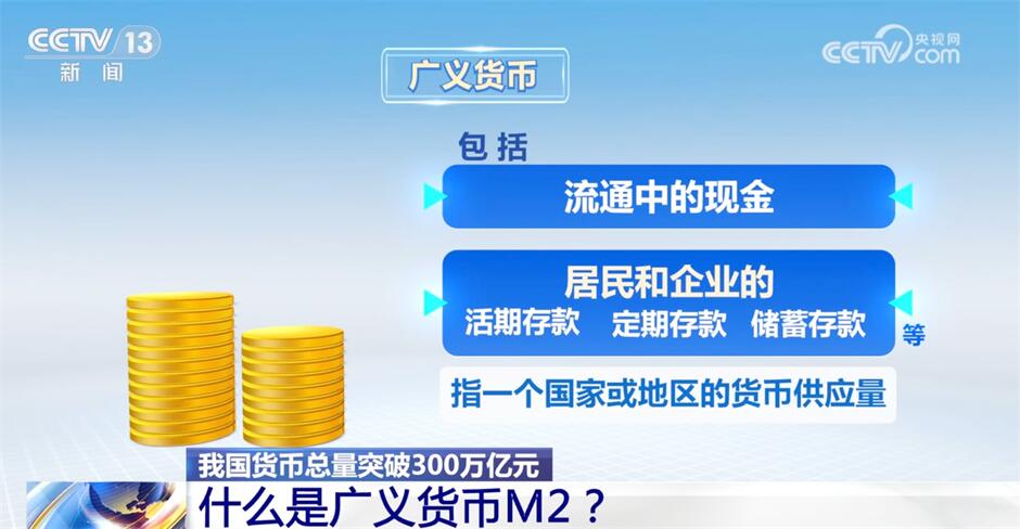 2024新澳精准正版资料,精选解释解析落实专业版230.346