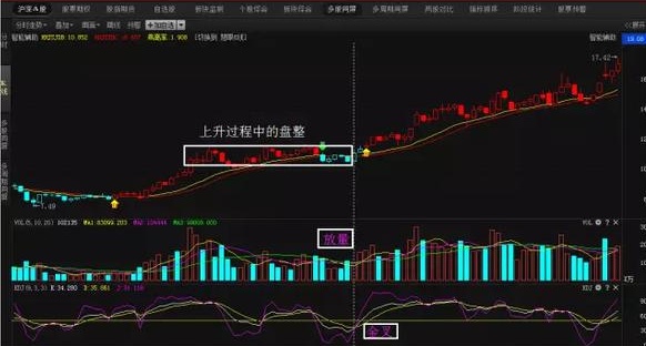 最准一码一肖100%精准老钱庄,富强解释解析落实高效版220.275