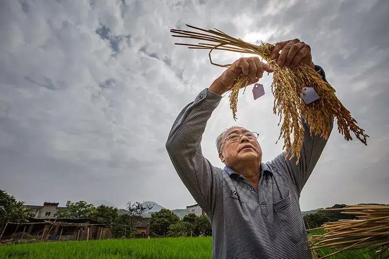 饿半个月对人体的影响与挑战