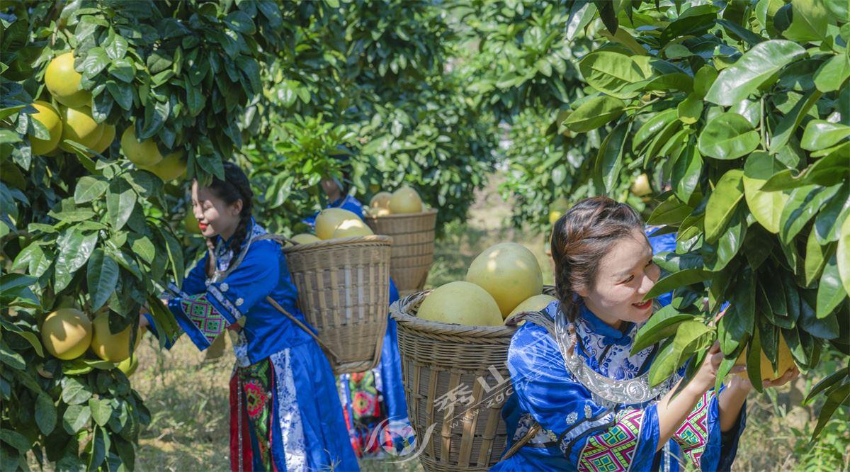 广东三红柚有限公司，柚香四溢，成就卓越