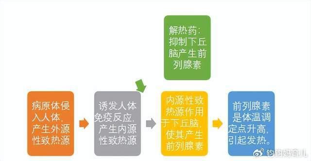 关于六个月宝宝发烧怎么办的详细指南