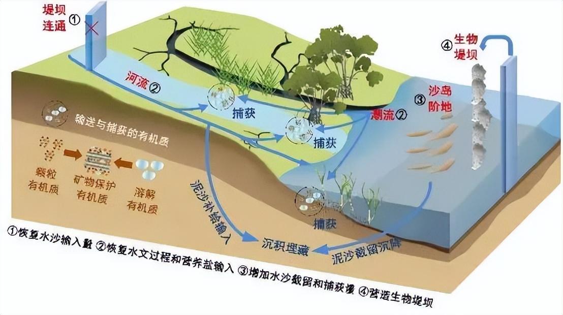 江苏陆汇智能科技，引领科技创新的先锋力量